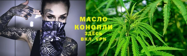 прущий лед Пересвет
